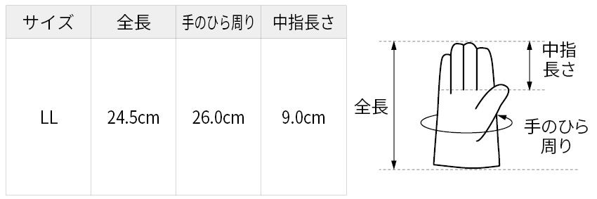 サイズ表