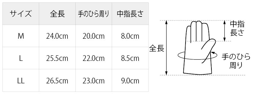サイズ表